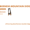 Bernese Mountain Dog Mom Definition