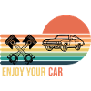 Enjoy your car
