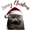 Meowy Christmas