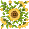 Fleur