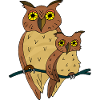 Oiseaux