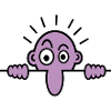 Wallman purple