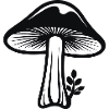 Pilz