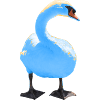 swan