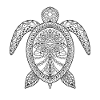 Schildkröte