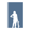 Skateboard Skateboarder Halfpipe