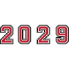 2029 year number