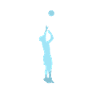 Volleyball Volleyball Net