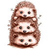 Lustige Igel
