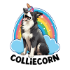 Colliecorn