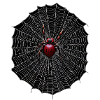 Spider Web Halloween