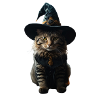 Witch Cat Halloween