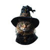 Witch Cat Halloween