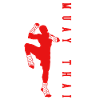 Muay Thai Boxing