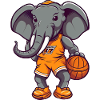 Basketball Elephant