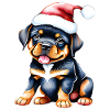 Puppy Rottweiler Dog Christmas Dogs