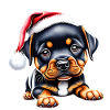 Rottweiler Dog Puppy Christmas Dogs
