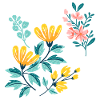 Yellow and Pink FLOWERS