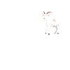Goatfather Goat Daddy