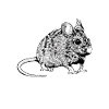 Mouse Owner - Mice Mom