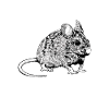 Mouse Owner - Mice Mom