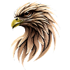 Adler Vogel Greifvogel Raubvogel