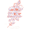 THE MENTAL SPA