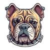 Bulldoggenkopf