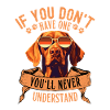 Vizsla with sunglasses
