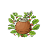 Yerba mate