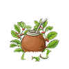 Yerba mate tea
