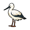 Avocet Cartoon Kawaii Aquarelle Illustration