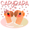 CAPYBARA COUPLE JE T’AIME