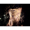 Arbre