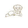 Cadeaux de propriétaire maltais