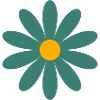 in full bloom