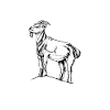 Goat owner - goat dad