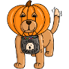 a dog on Halloween