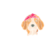Chillin avec ma fille beagle