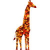 Autumn giraffe