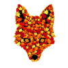 Herbstfuchs