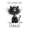 Droll black cat with cats saying