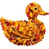 Autumn Duck
