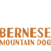 Propriété D’Un Bouvier Bernois