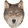 Polygon Wolf Design