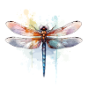 Libelle Aquarell