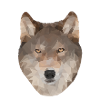 Polygon-Art - Wolf Design