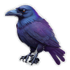 Crow