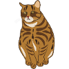 Landrace cat
