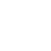 Make a wish!